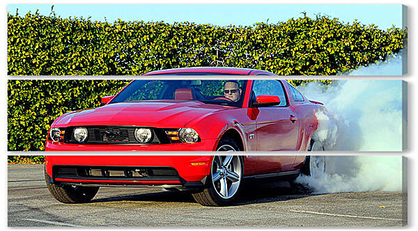 Модульная картина - Mustang-110