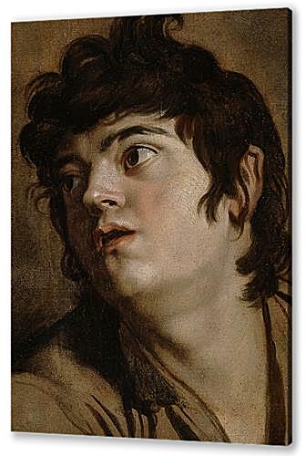 Head of a Young Man	
