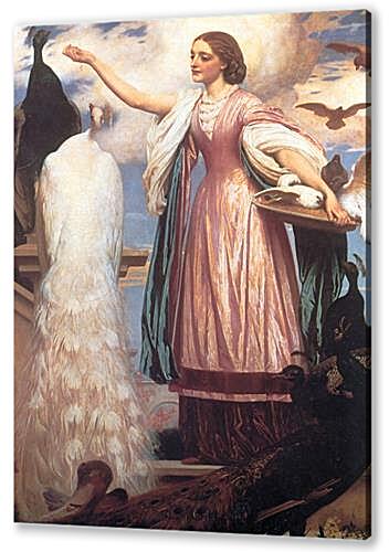 Постер (плакат) - A Girl Feeding Peacocks
