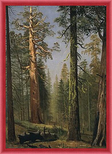 Картина - The Grizzly Giant Sequoia, Mariposa Grove, California
