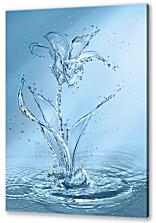Постер (плакат) - Цветок из воды
