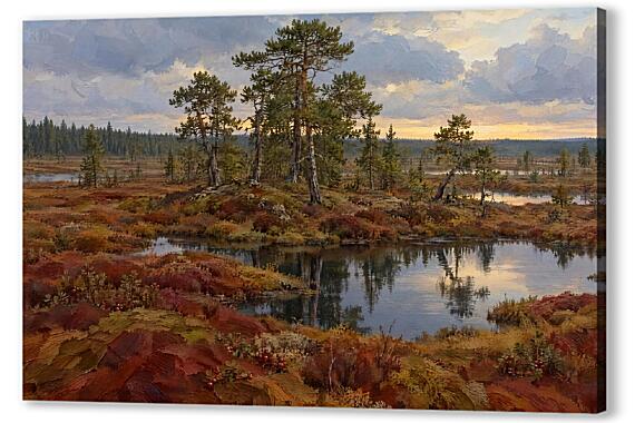 Багульник и мох